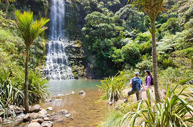 Private Auckland Maori Luxury Tour - From Coast to Rainforest: