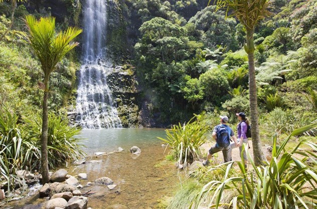 Private Auckland West Coast Day Tour - From Coast to Rainforest