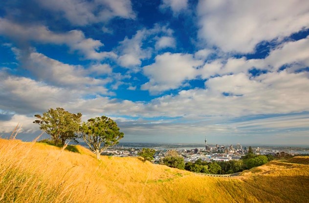 Private Auckland Luxury Tour - Set foot on dormant volcanoes 