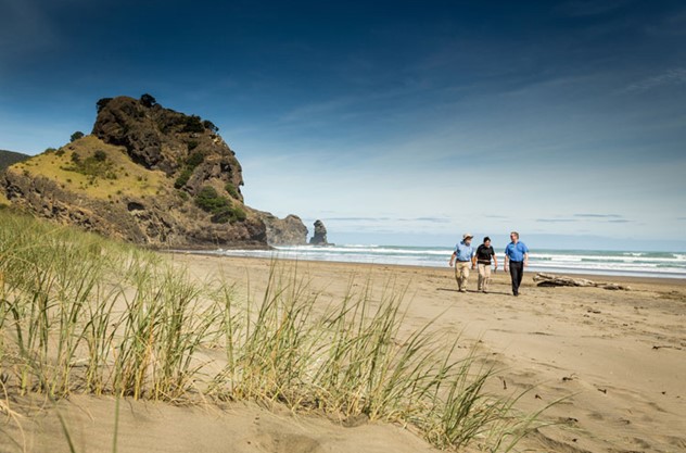 Auckland West Coast Half Day Luxury Tour - Walk along black sand beaches