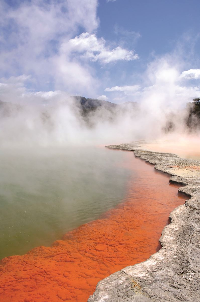 Auckland to Rotorua Private Tour | TIME Unlimited Tours