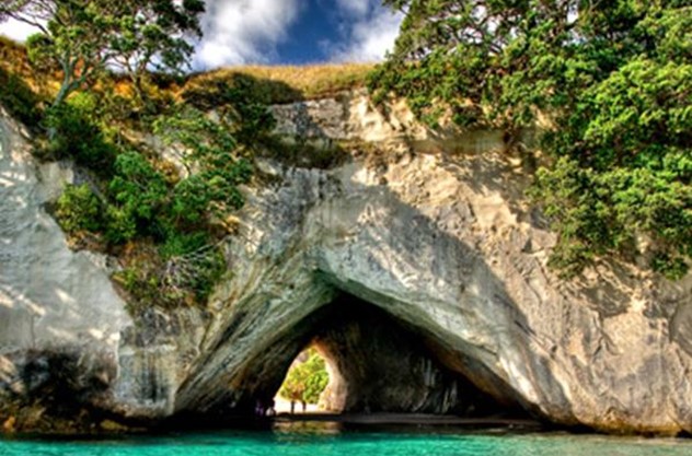 Auckland to Coromandel, Taupo and Rotorua Private 7 Day Tour - Choose your journey: 