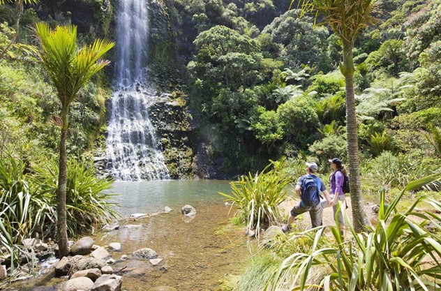 Auckland West Coast Half Day Luxury Tour - From Coast to Rainforest