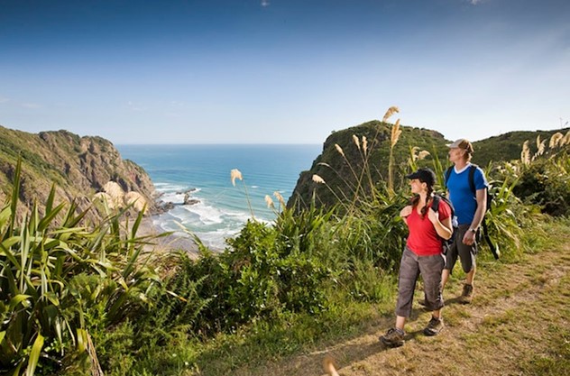 Auckland Guided Wilderness Walk - It’s about the journey and the destination 