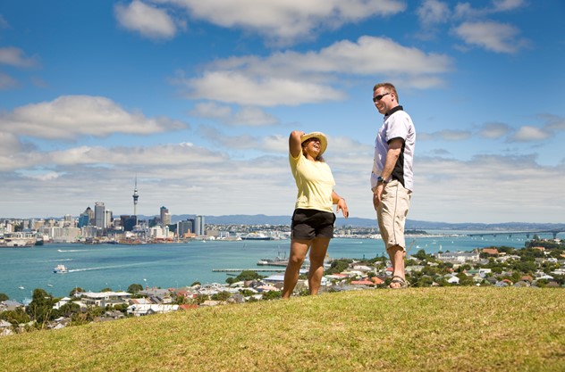 Auckland Private Tour including Airport Transfer - Up to 8 hours